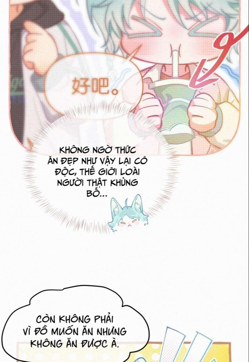 Hồ Ly Rắc Rối 11 trang 8