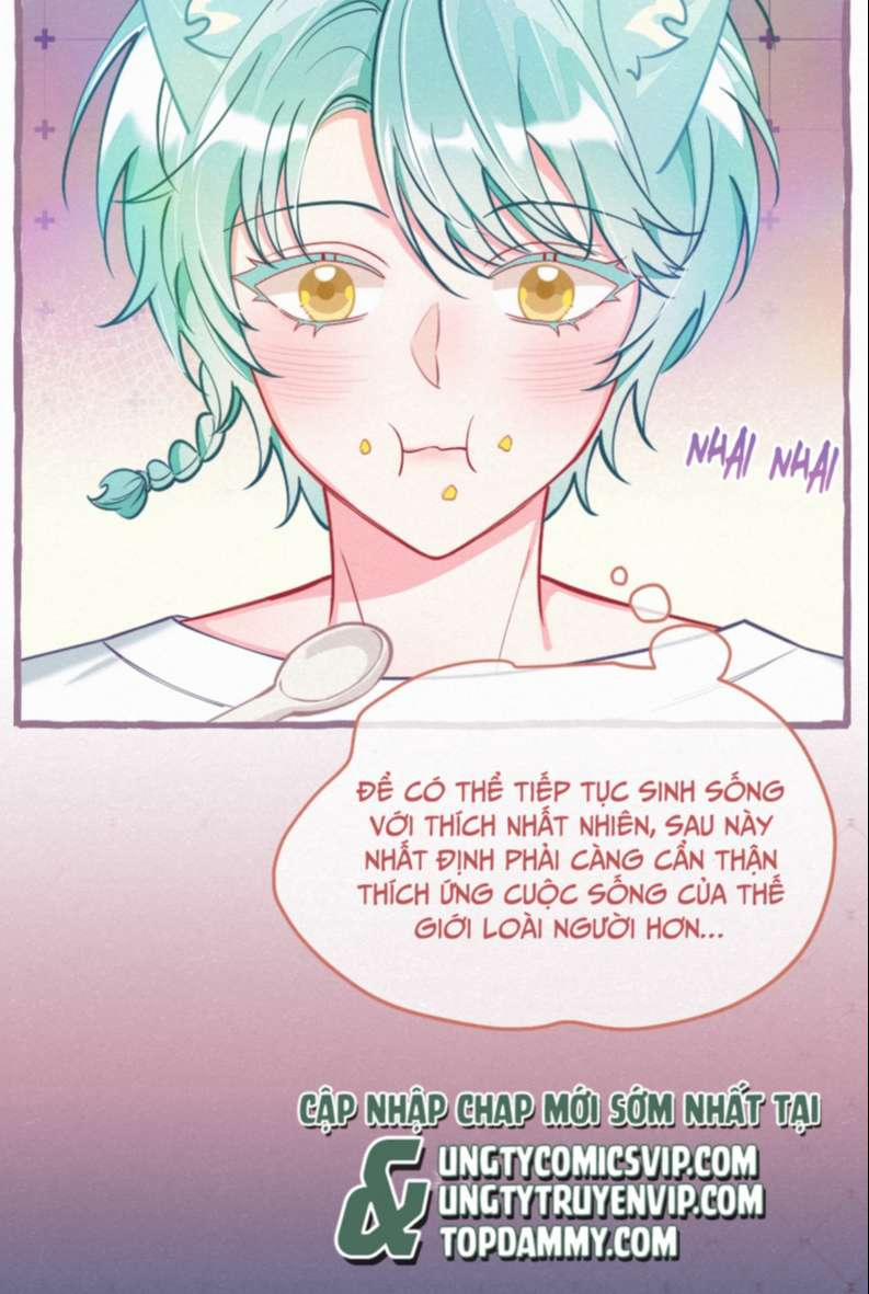 Hồ Ly Rắc Rối 12 trang 9