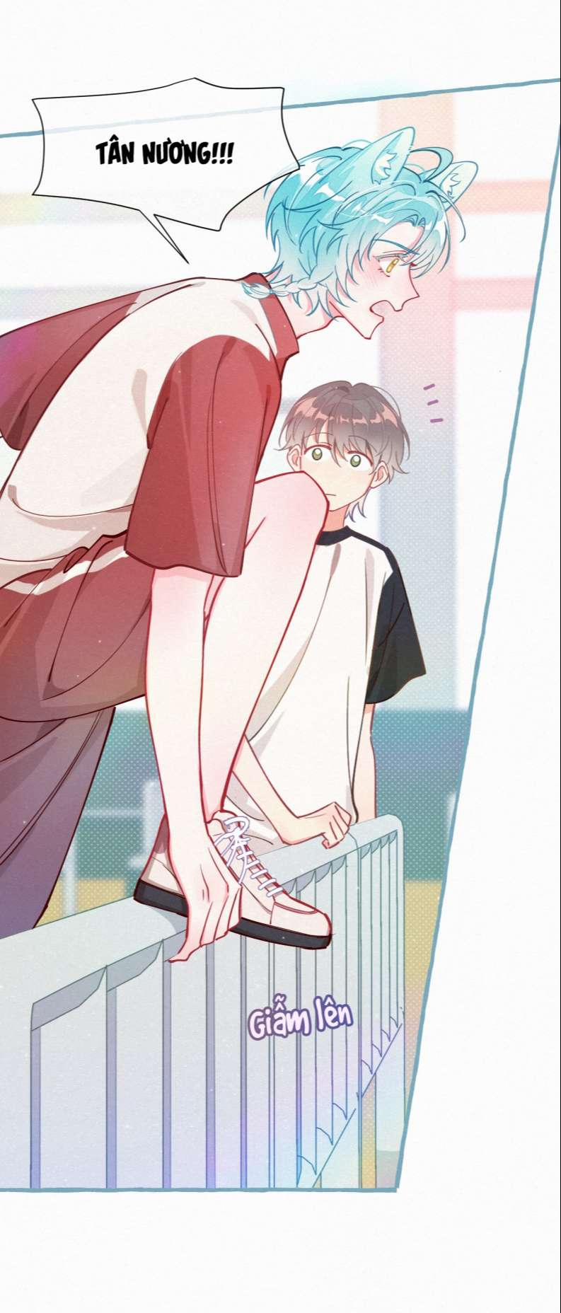 Hồ Ly Rắc Rối 6 trang 3