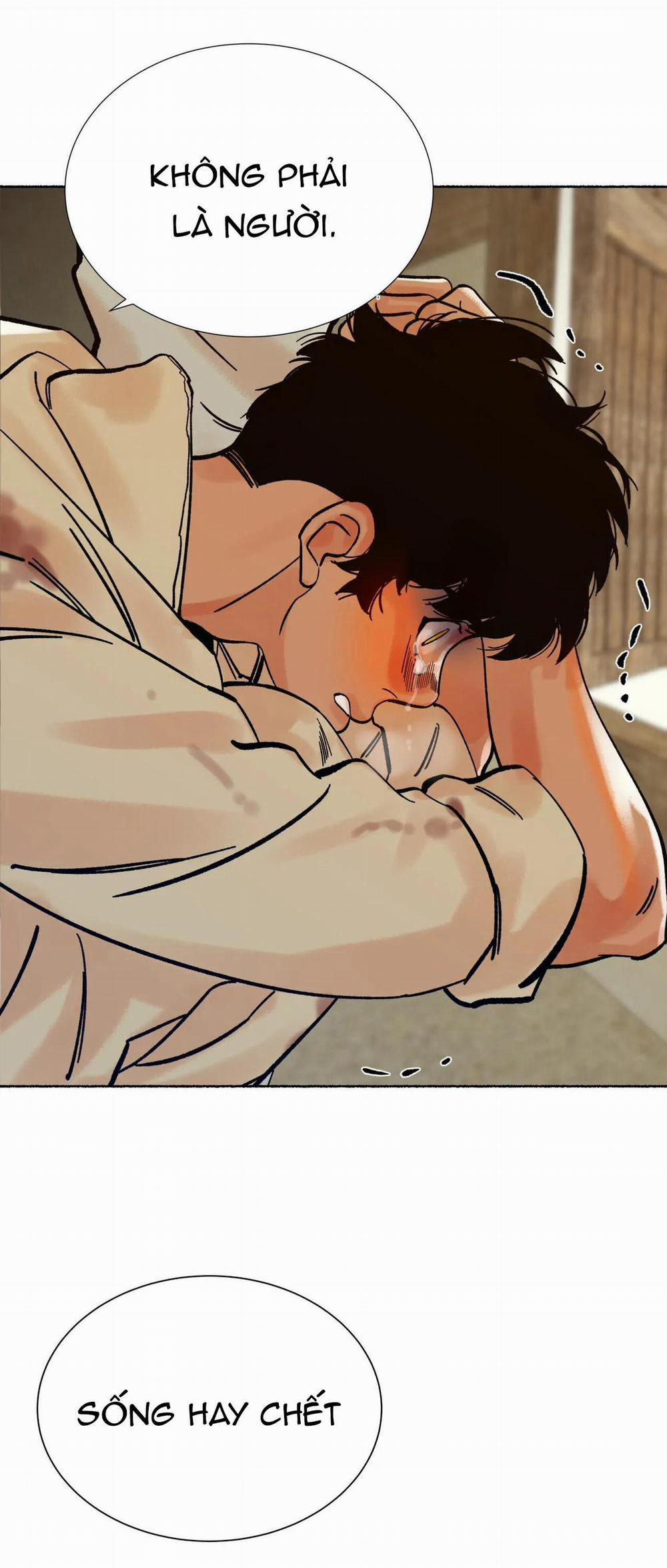 Hổ Ngàn Năm 13 trang 64