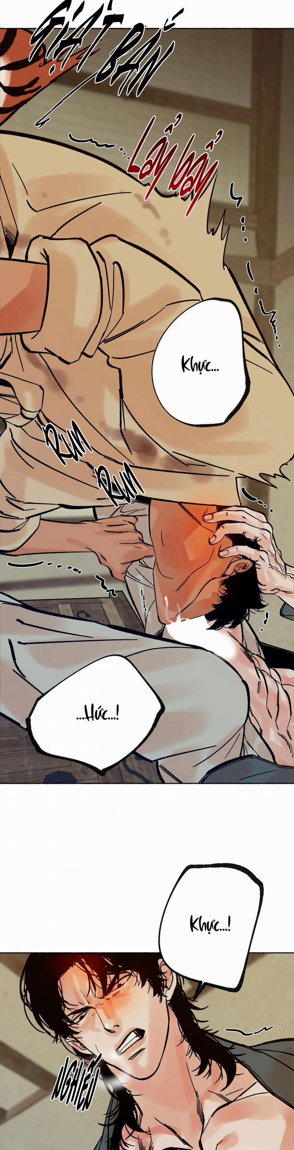 Hổ Ngàn Năm 14 trang 11