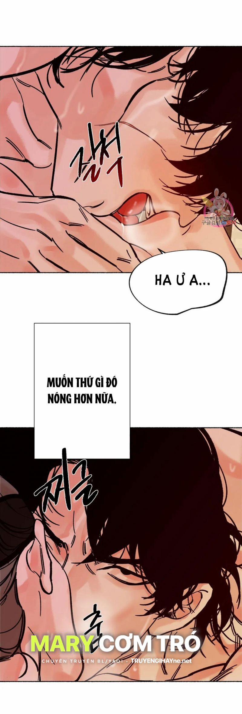 Hổ Ngàn Năm 15.5 trang 11