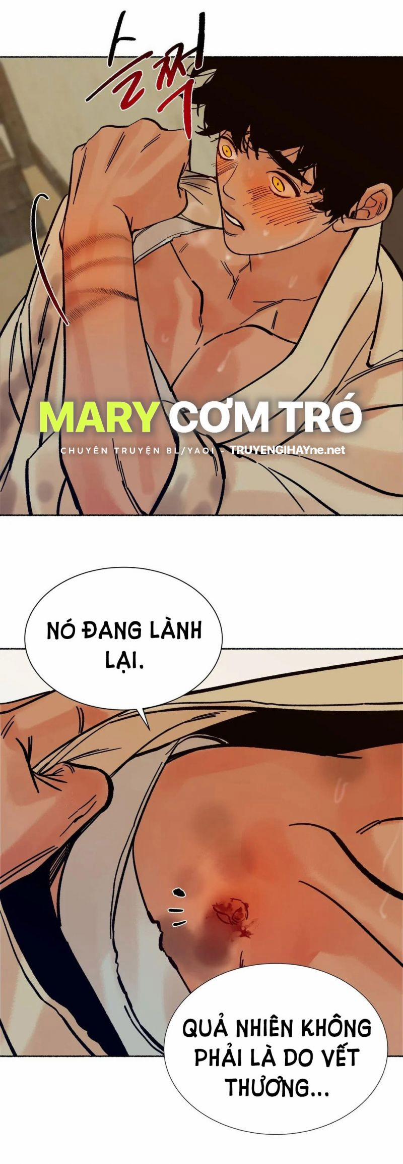 Hổ Ngàn Năm 15.5 trang 18