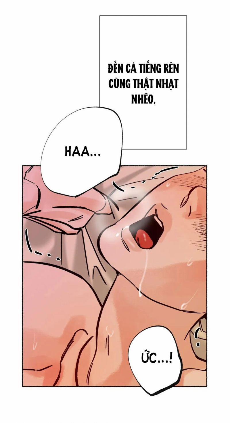 Hổ Ngàn Năm 15.5 trang 9