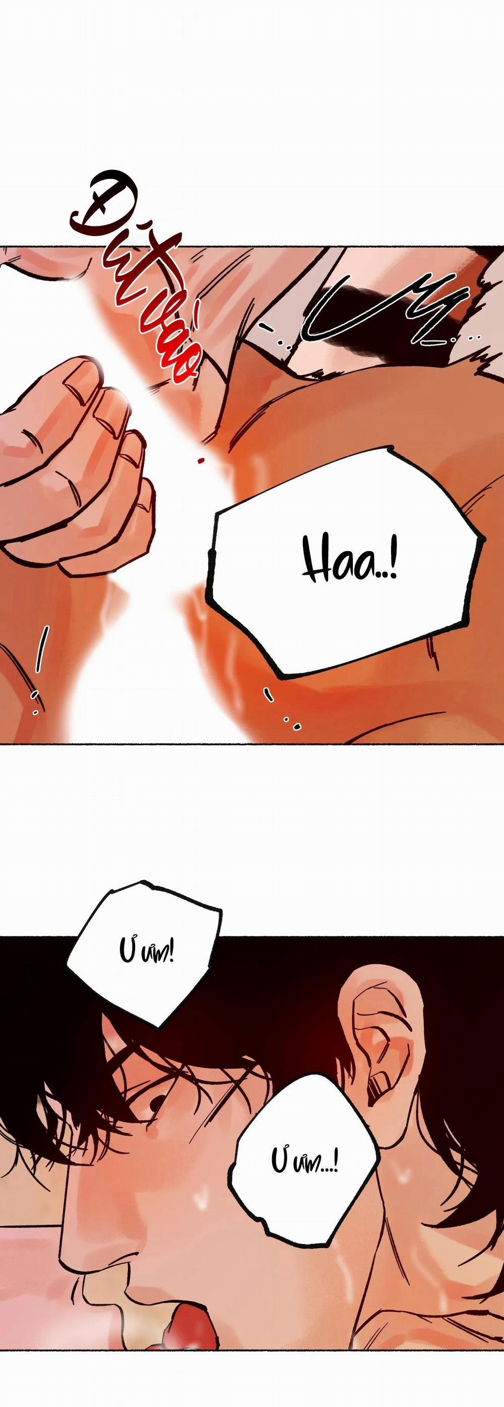 Hổ Ngàn Năm 17 trang 15