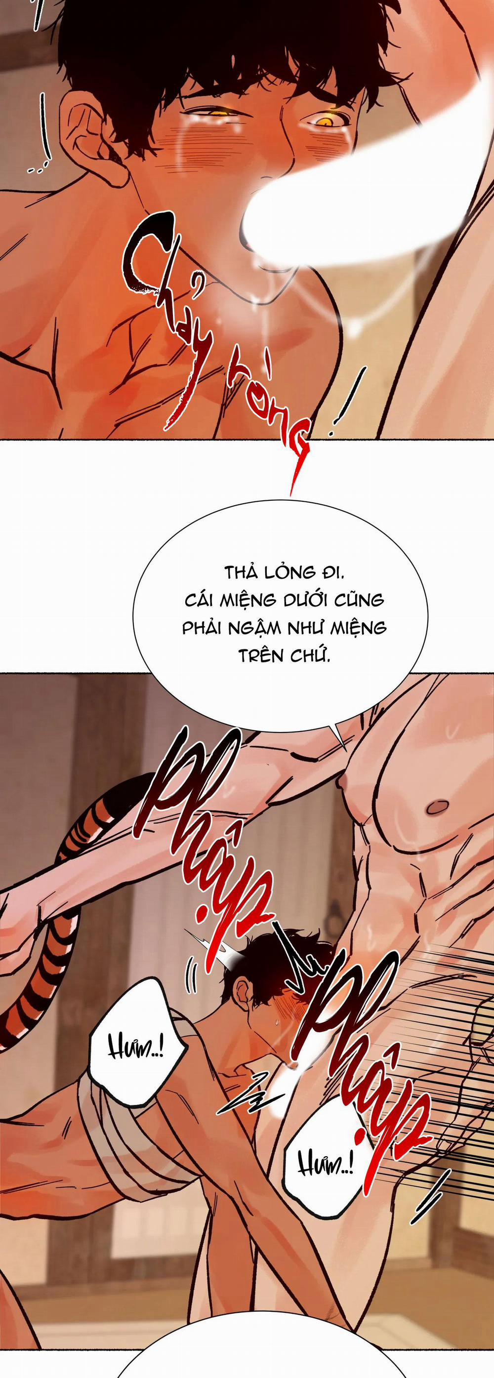 Hổ Ngàn Năm 17 trang 17