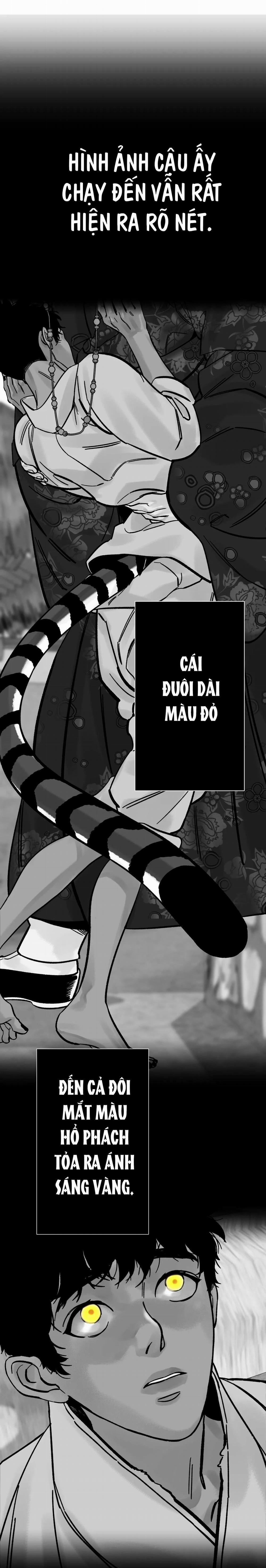 Hổ Ngàn Năm 18 trang 18