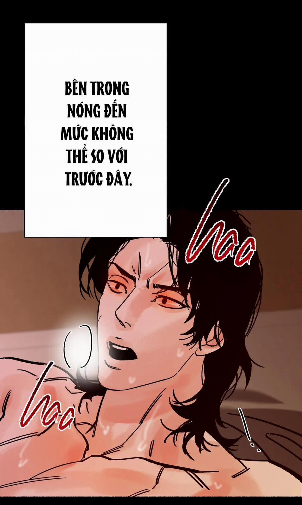 Hổ Ngàn Năm 20 trang 21