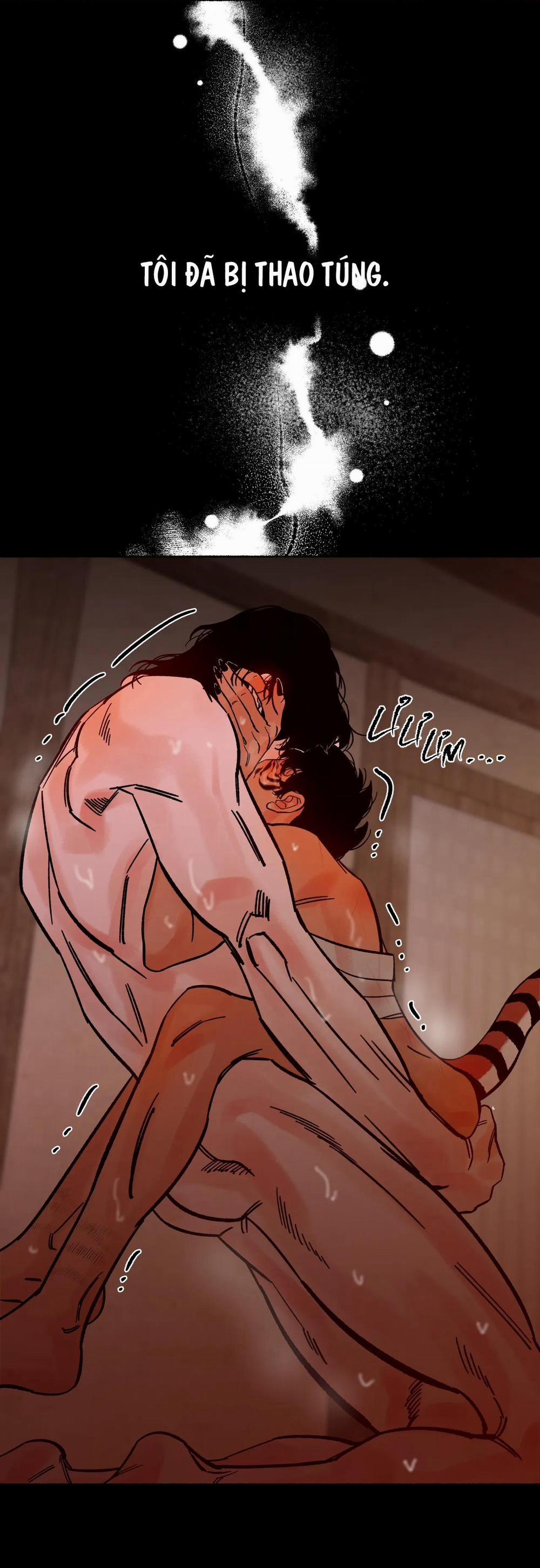 Hổ Ngàn Năm 20 trang 45