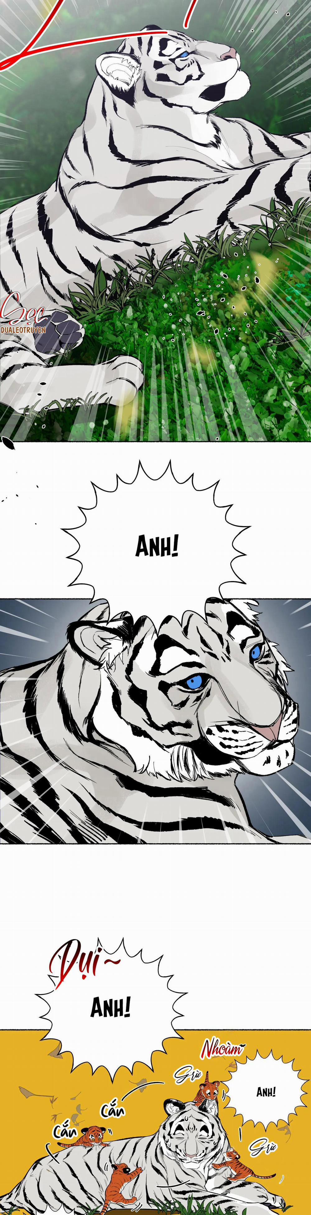 Hổ Ngàn Năm 24 trang 25