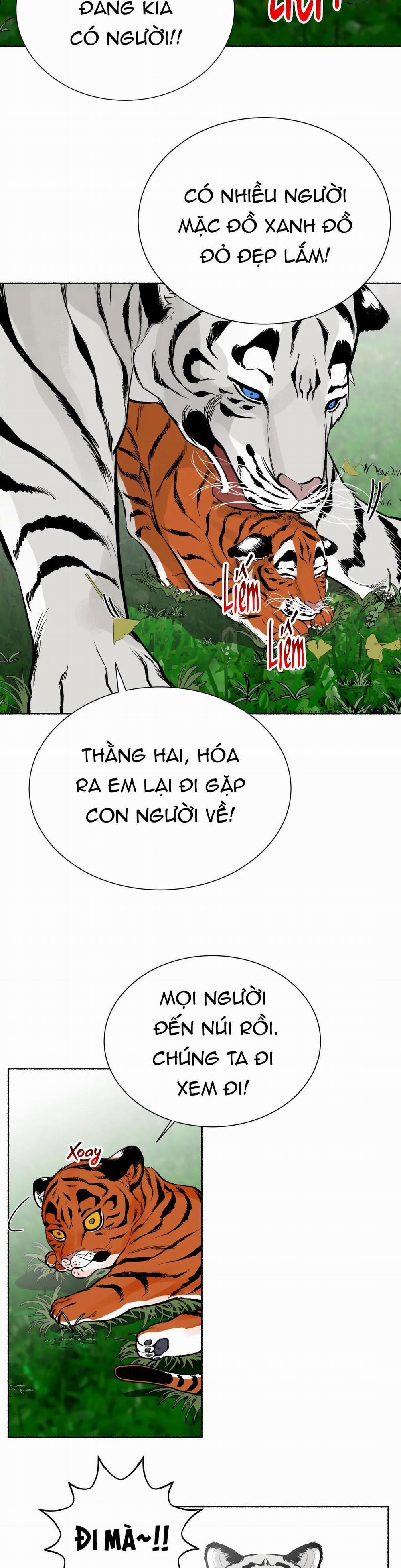 Hổ Ngàn Năm 24 trang 27