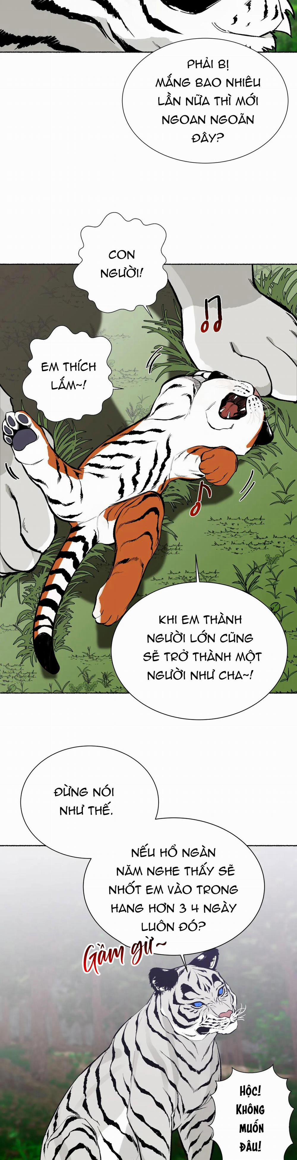 Hổ Ngàn Năm 24 trang 29