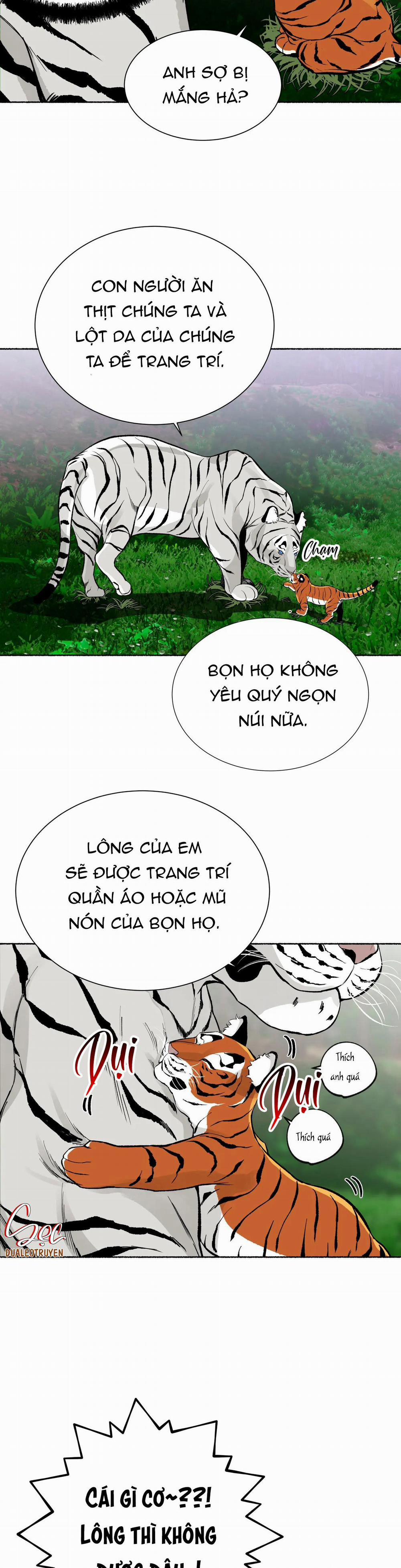 Hổ Ngàn Năm 24 trang 33