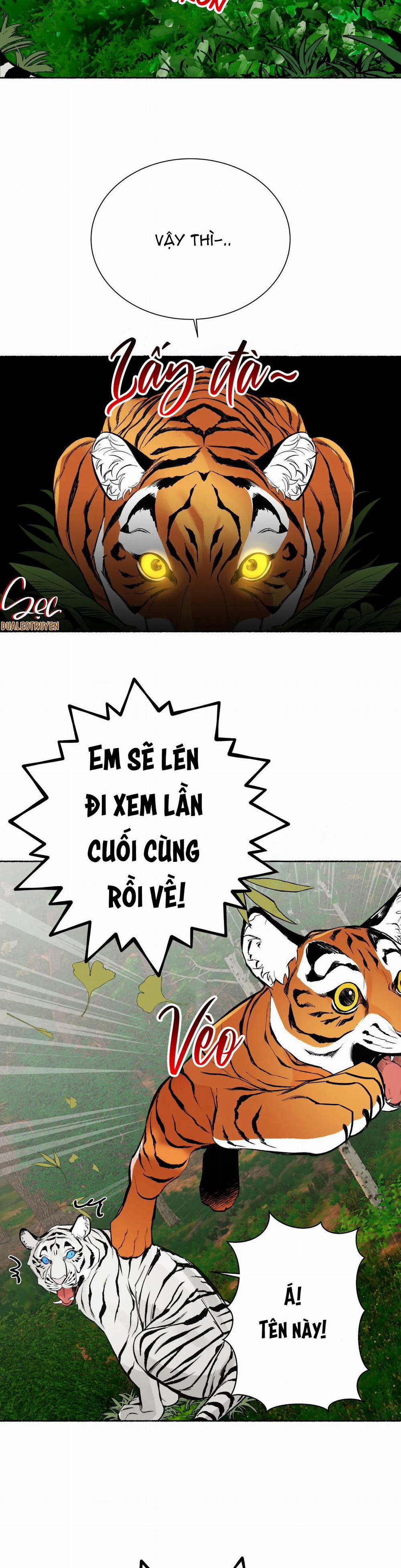 Hổ Ngàn Năm 24 trang 35