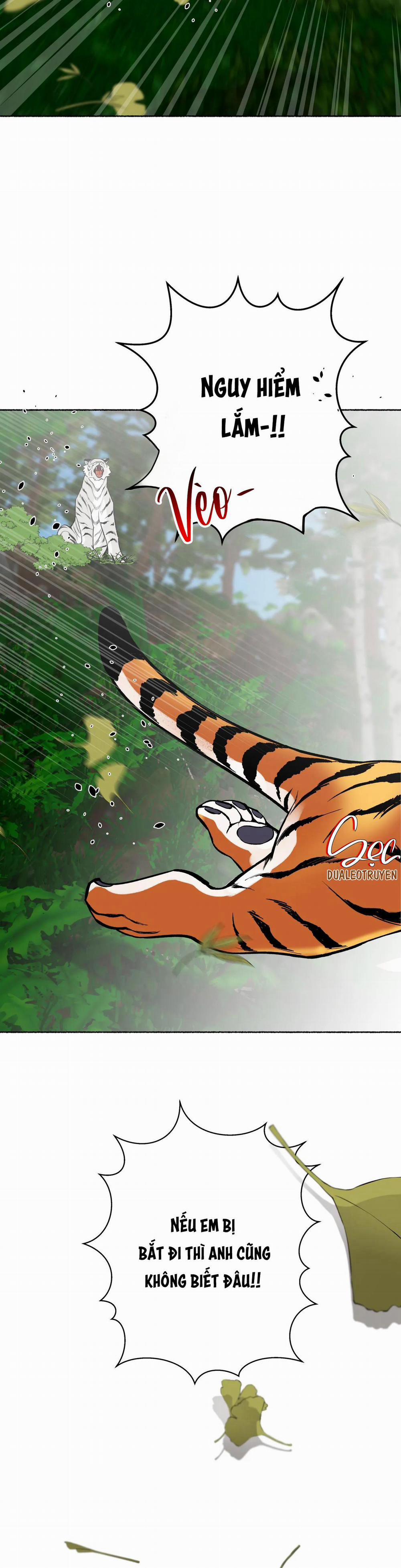 Hổ Ngàn Năm 24 trang 37