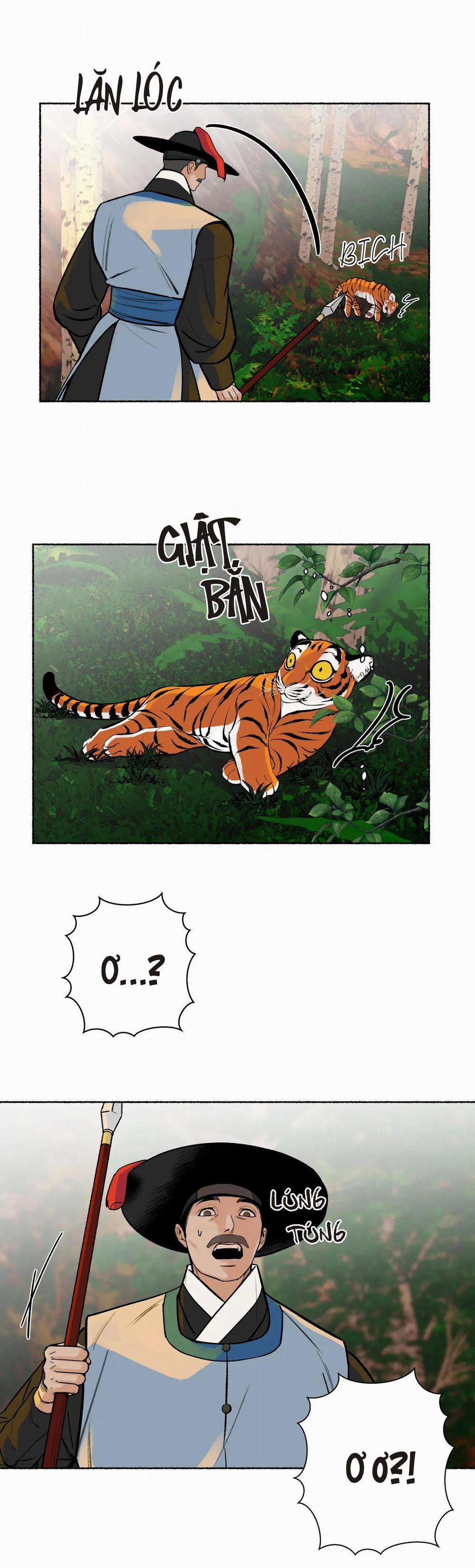 Hổ Ngàn Năm 25 trang 14