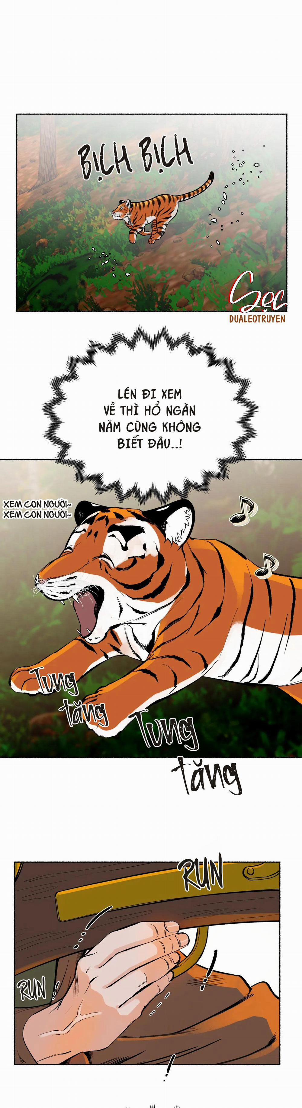 Hổ Ngàn Năm 25 trang 27