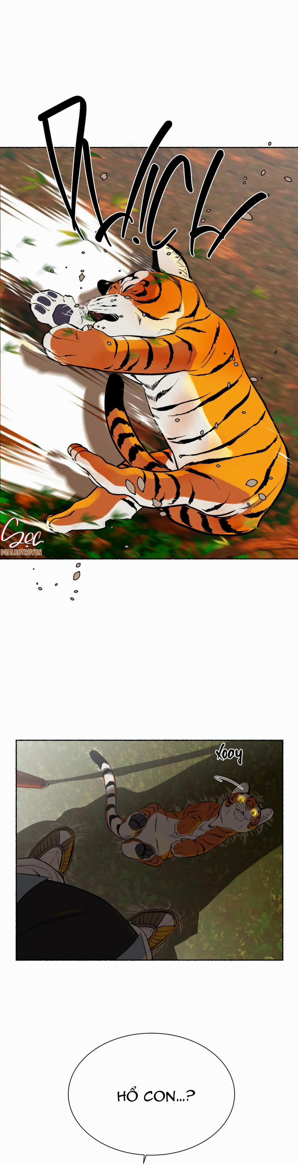 Hổ Ngàn Năm 26 trang 1