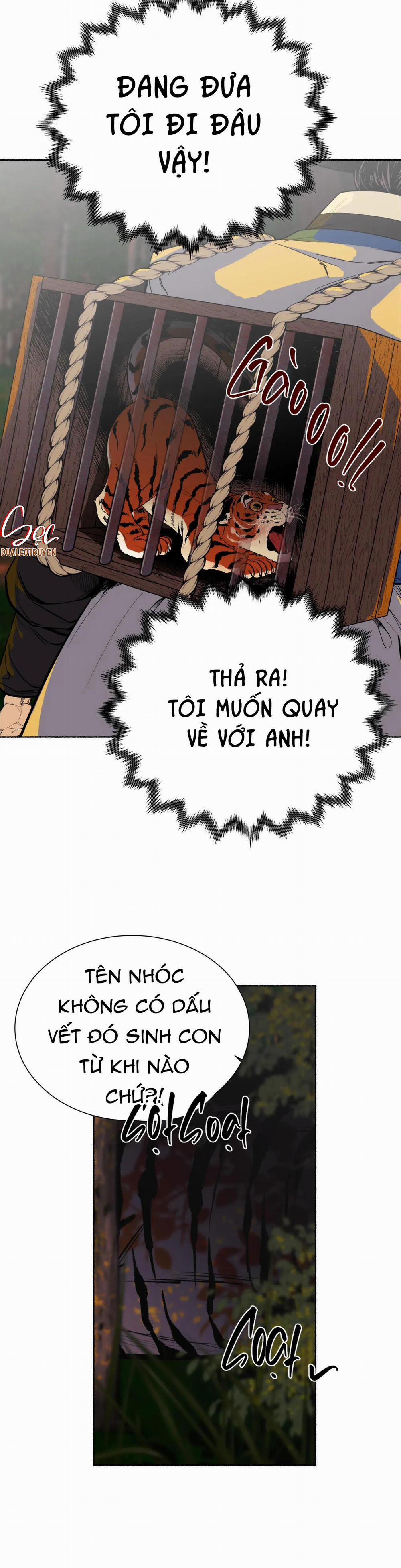 Hổ Ngàn Năm 26 trang 12