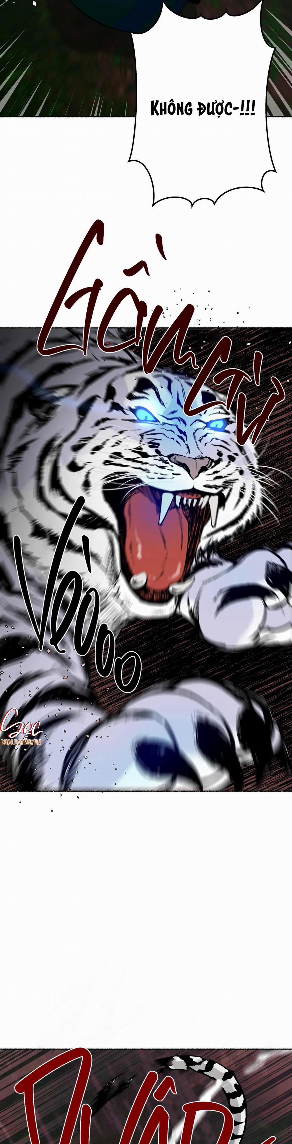 Hổ Ngàn Năm 26 trang 19