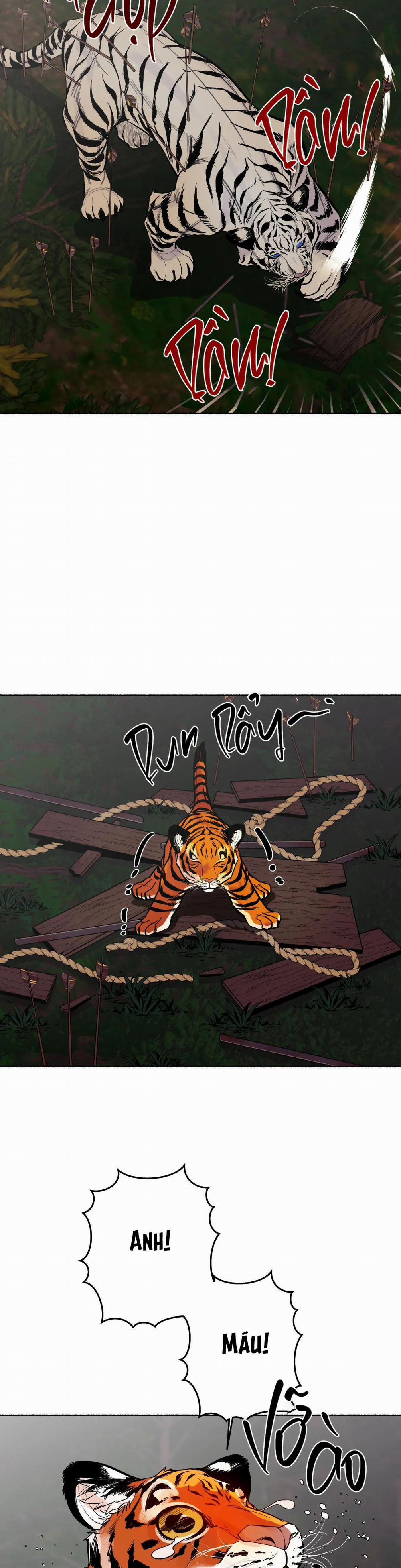 Hổ Ngàn Năm 26 trang 23