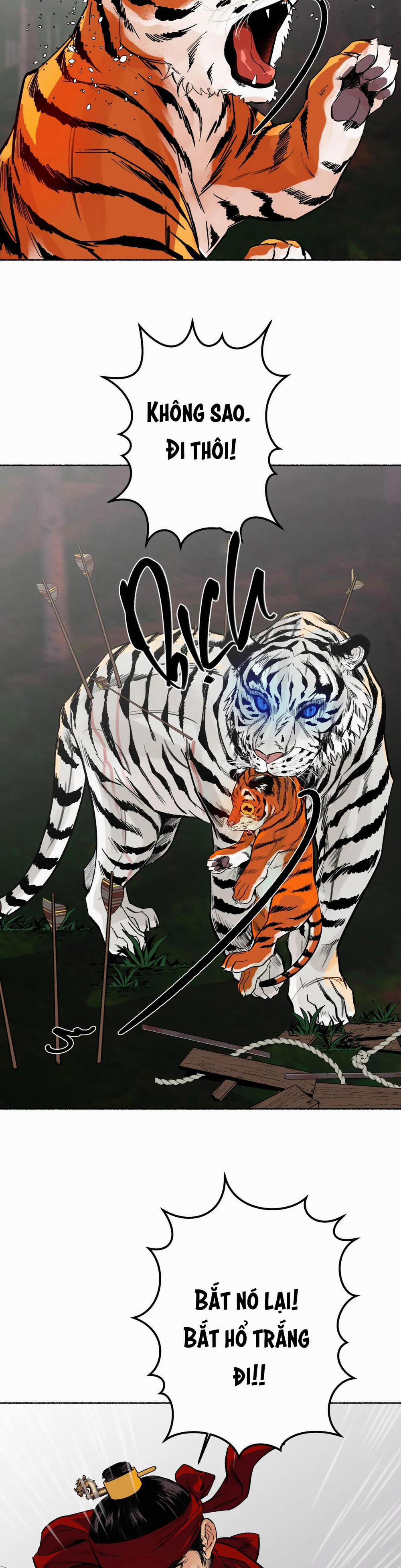 Hổ Ngàn Năm 26 trang 24