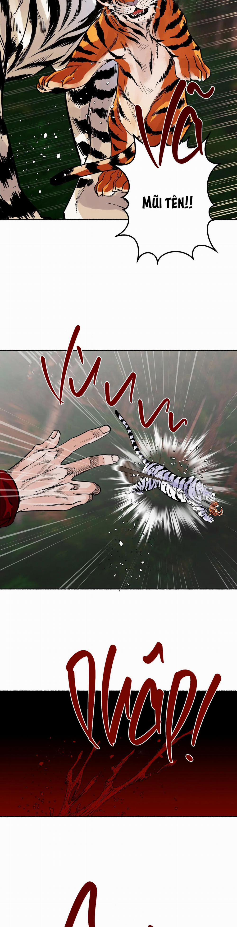 Hổ Ngàn Năm 26 trang 26