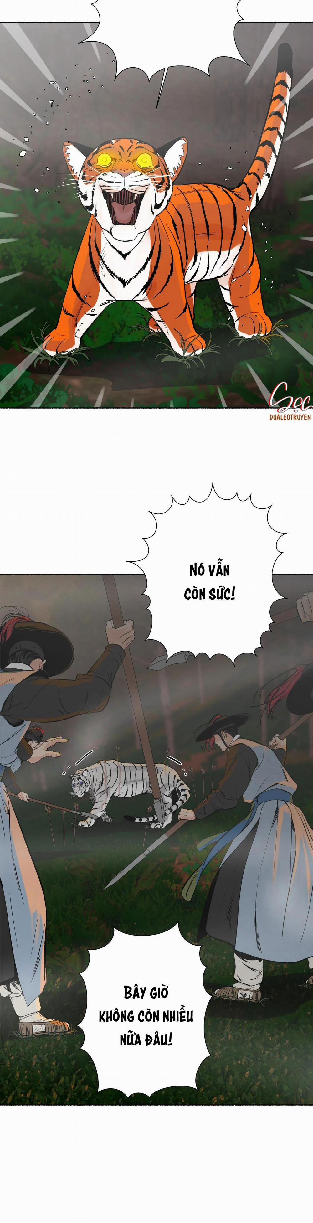 Hổ Ngàn Năm 27 trang 7