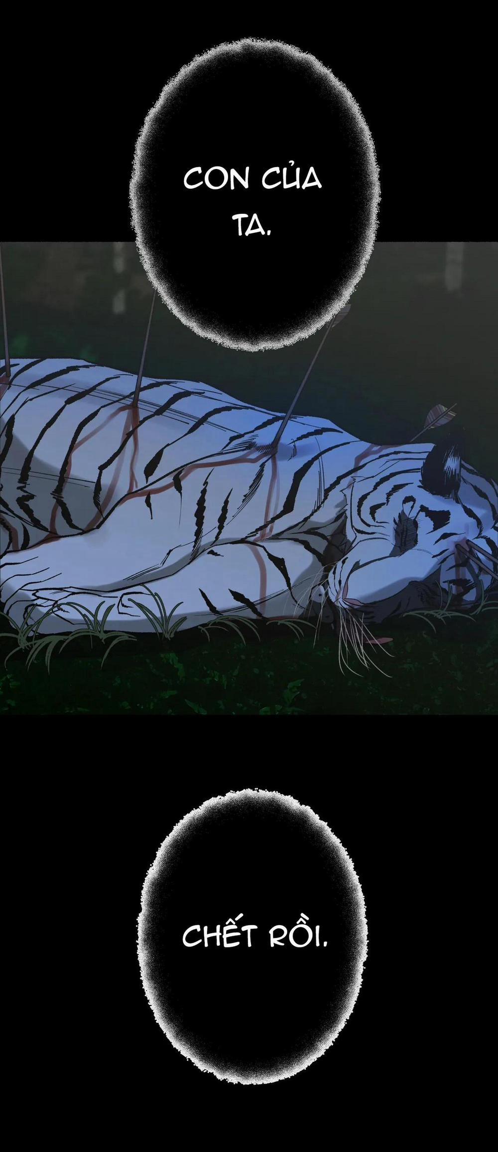 Hổ Ngàn Năm 28 trang 14