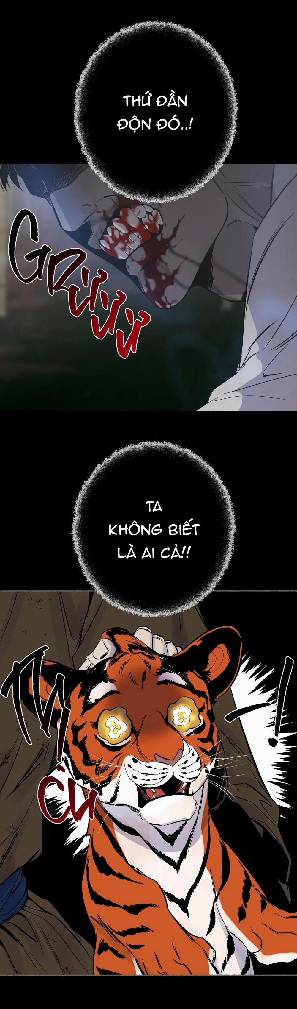 Hổ Ngàn Năm 29 trang 12