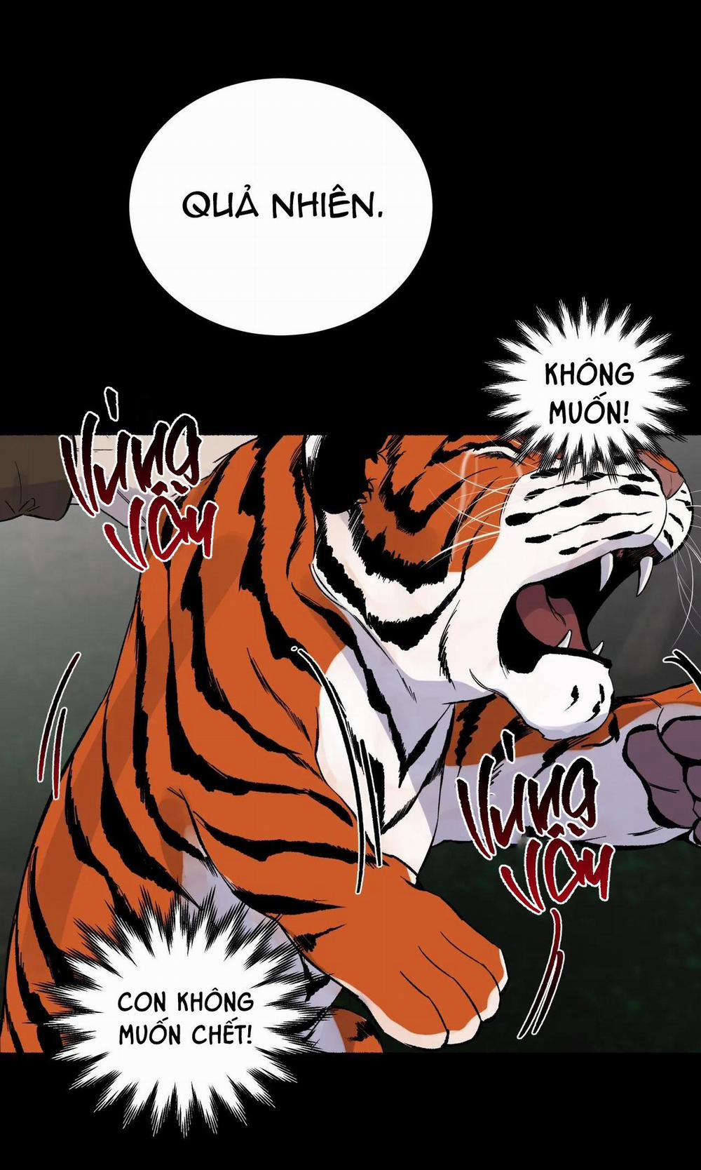 Hổ Ngàn Năm 29 trang 13