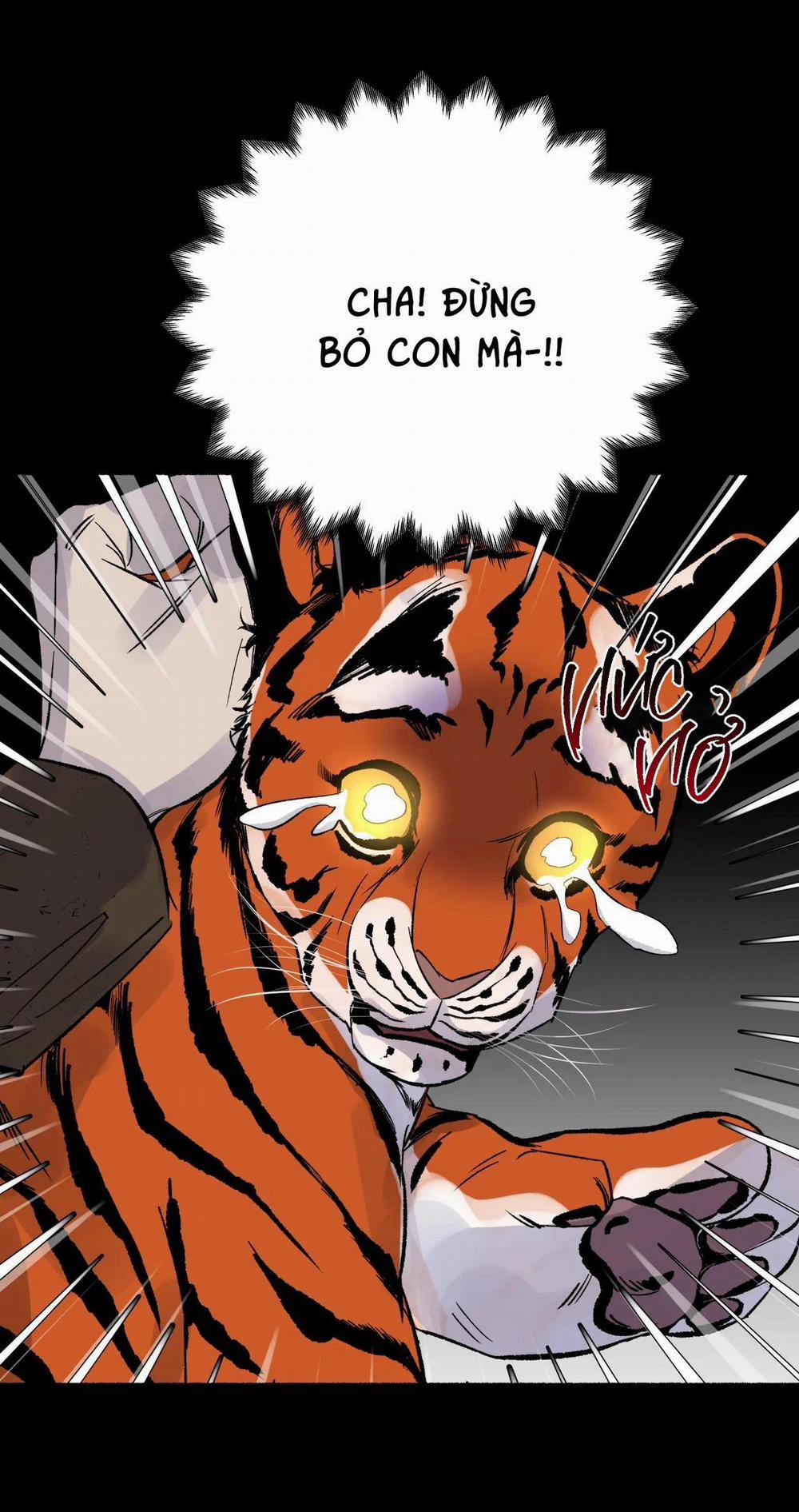 Hổ Ngàn Năm 29 trang 16