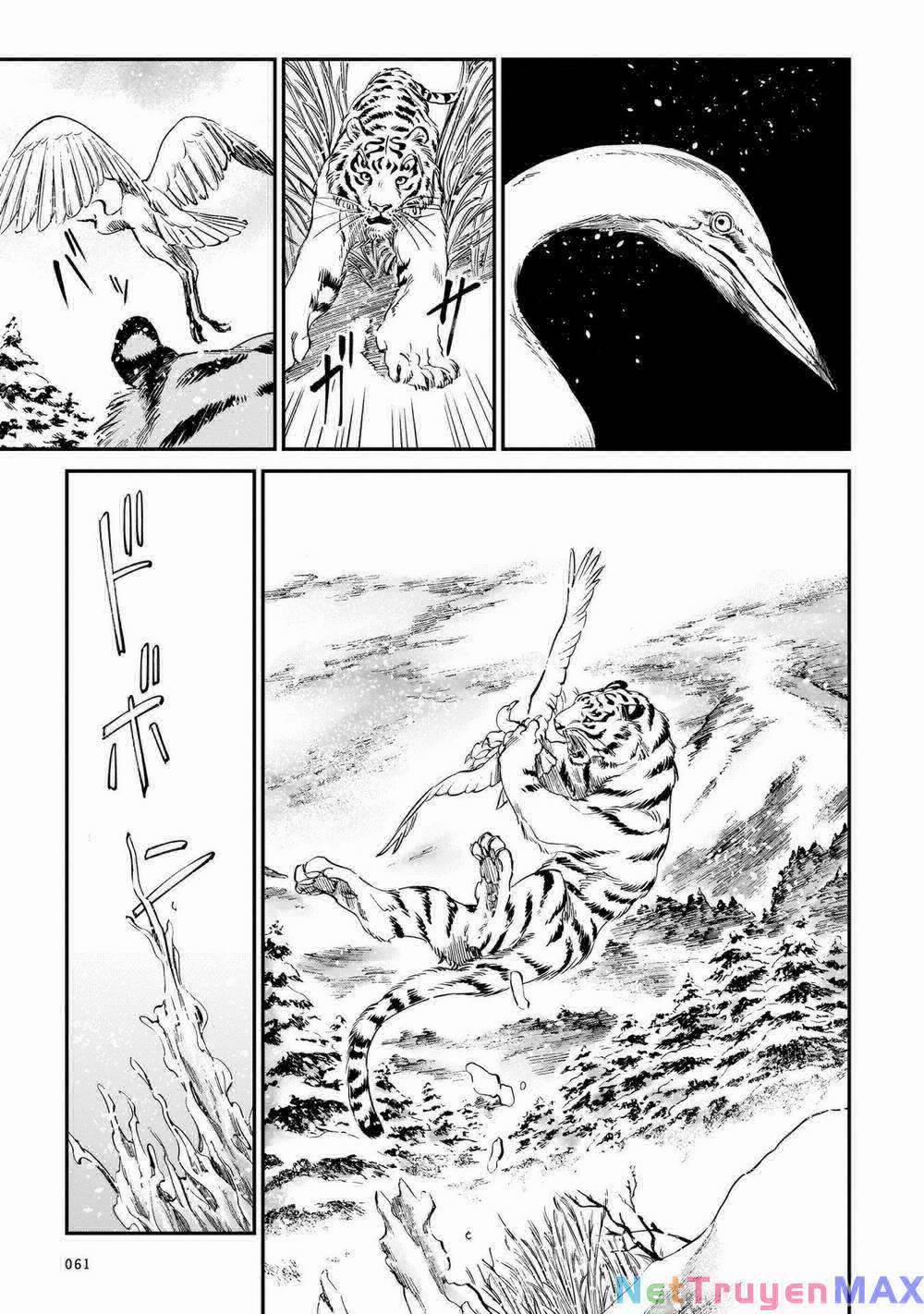 Hổ Vẫn Chưa Muốn Xơi Rồng 10 trang 13