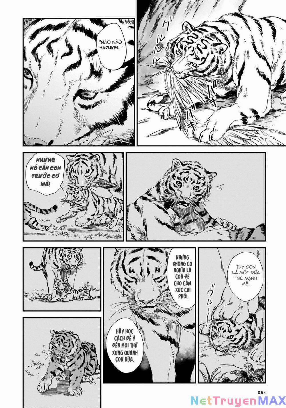 Hổ Vẫn Chưa Muốn Xơi Rồng 10 trang 16