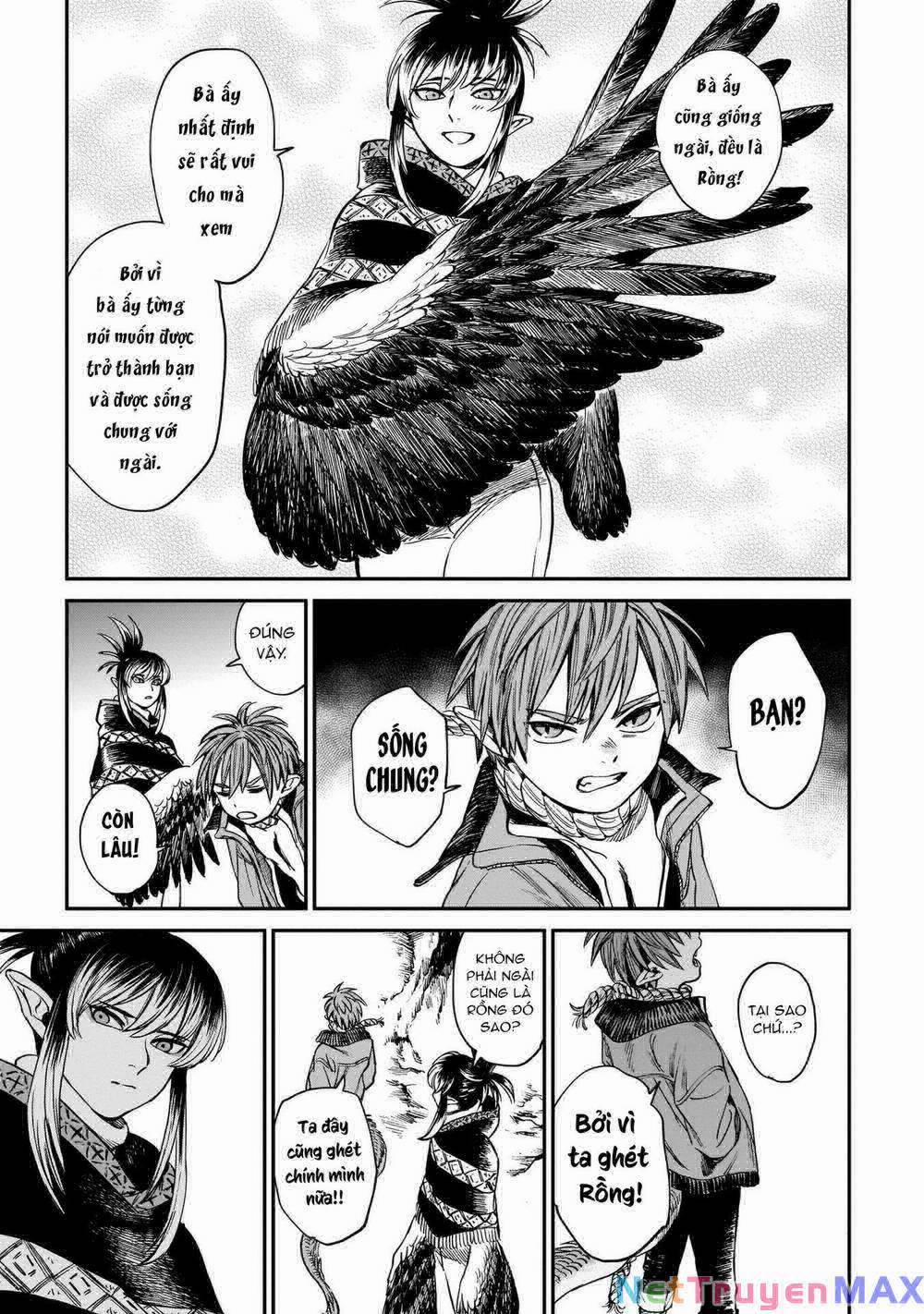 Hổ Vẫn Chưa Muốn Xơi Rồng 12 trang 13