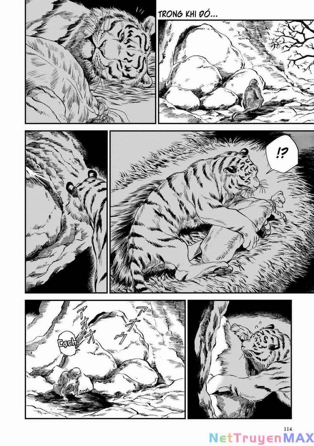 Hổ Vẫn Chưa Muốn Xơi Rồng 12 trang 22