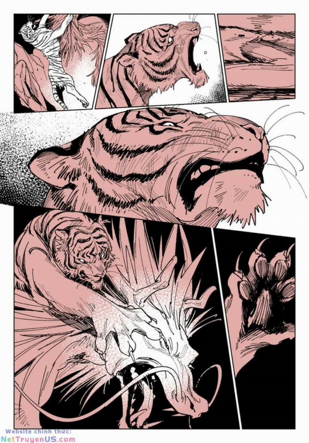 Hổ Vẫn Chưa Muốn Xơi Rồng 15.9 trang 86