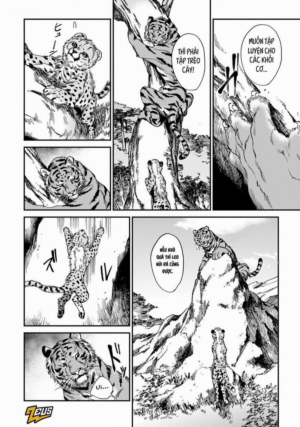 Hổ Vẫn Chưa Muốn Xơi Rồng 19 trang 12