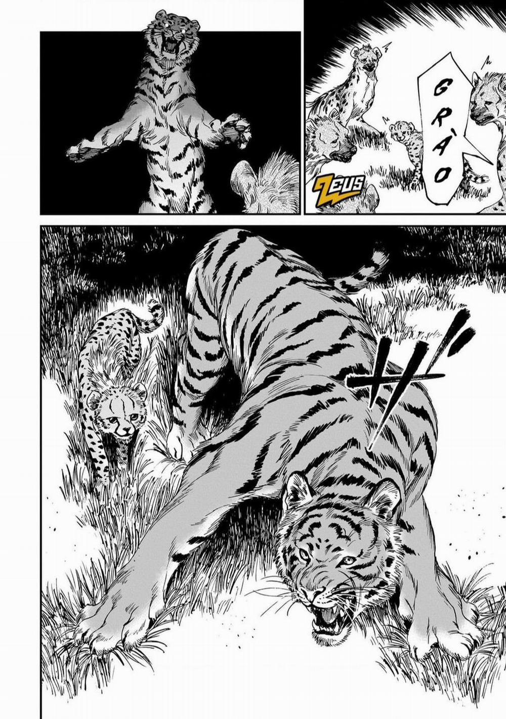 Hổ Vẫn Chưa Muốn Xơi Rồng 19 trang 20