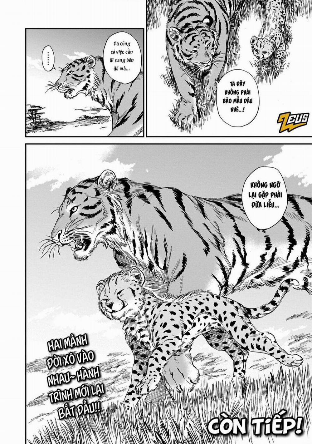 Hổ Vẫn Chưa Muốn Xơi Rồng 19 trang 28