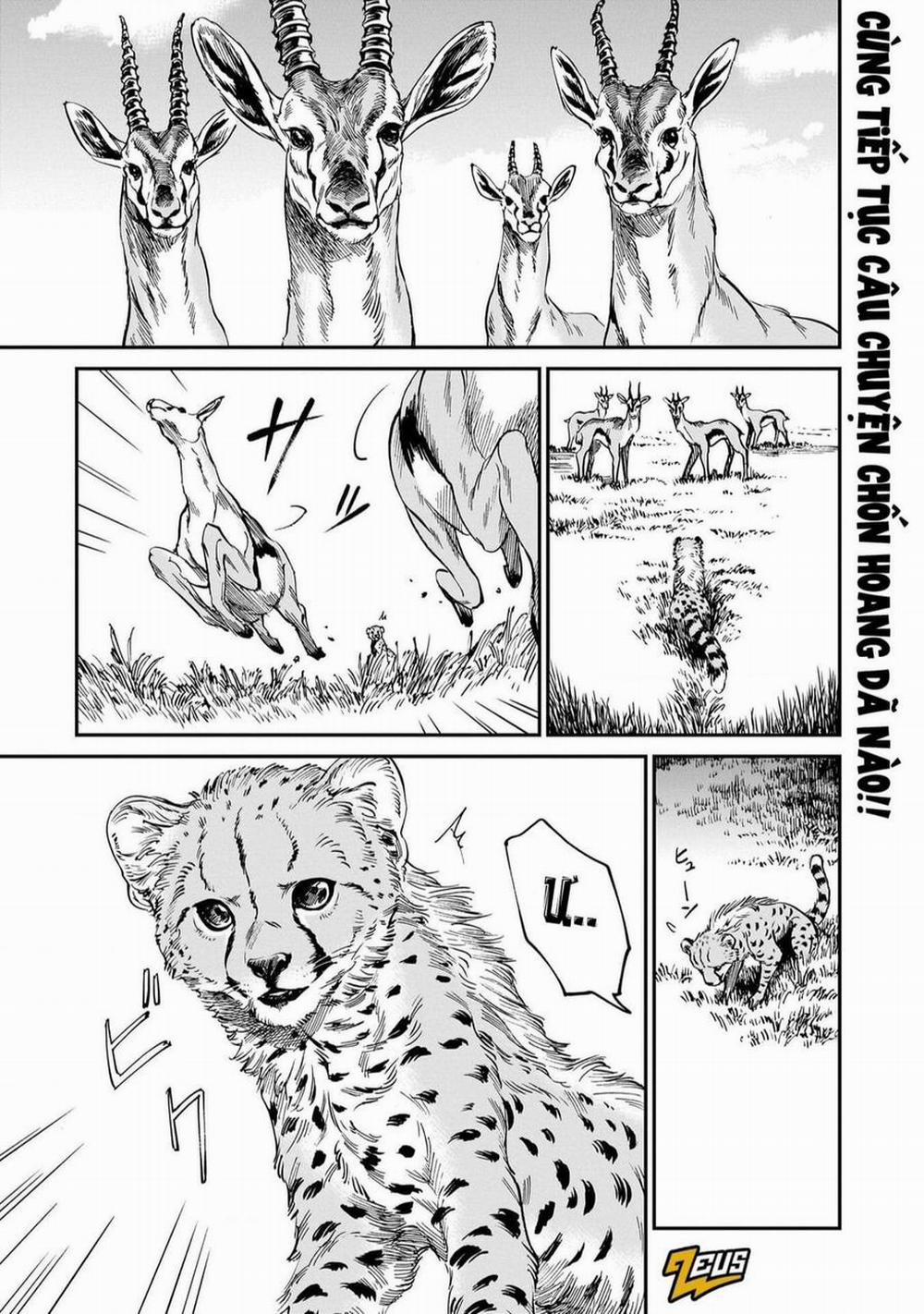 Hổ Vẫn Chưa Muốn Xơi Rồng 19 trang 3