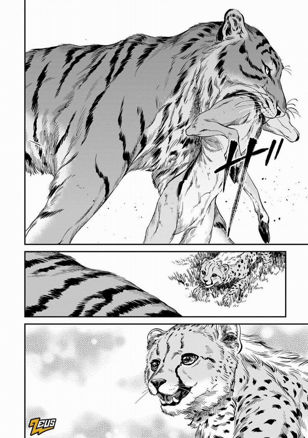 Hổ Vẫn Chưa Muốn Xơi Rồng 19 trang 4