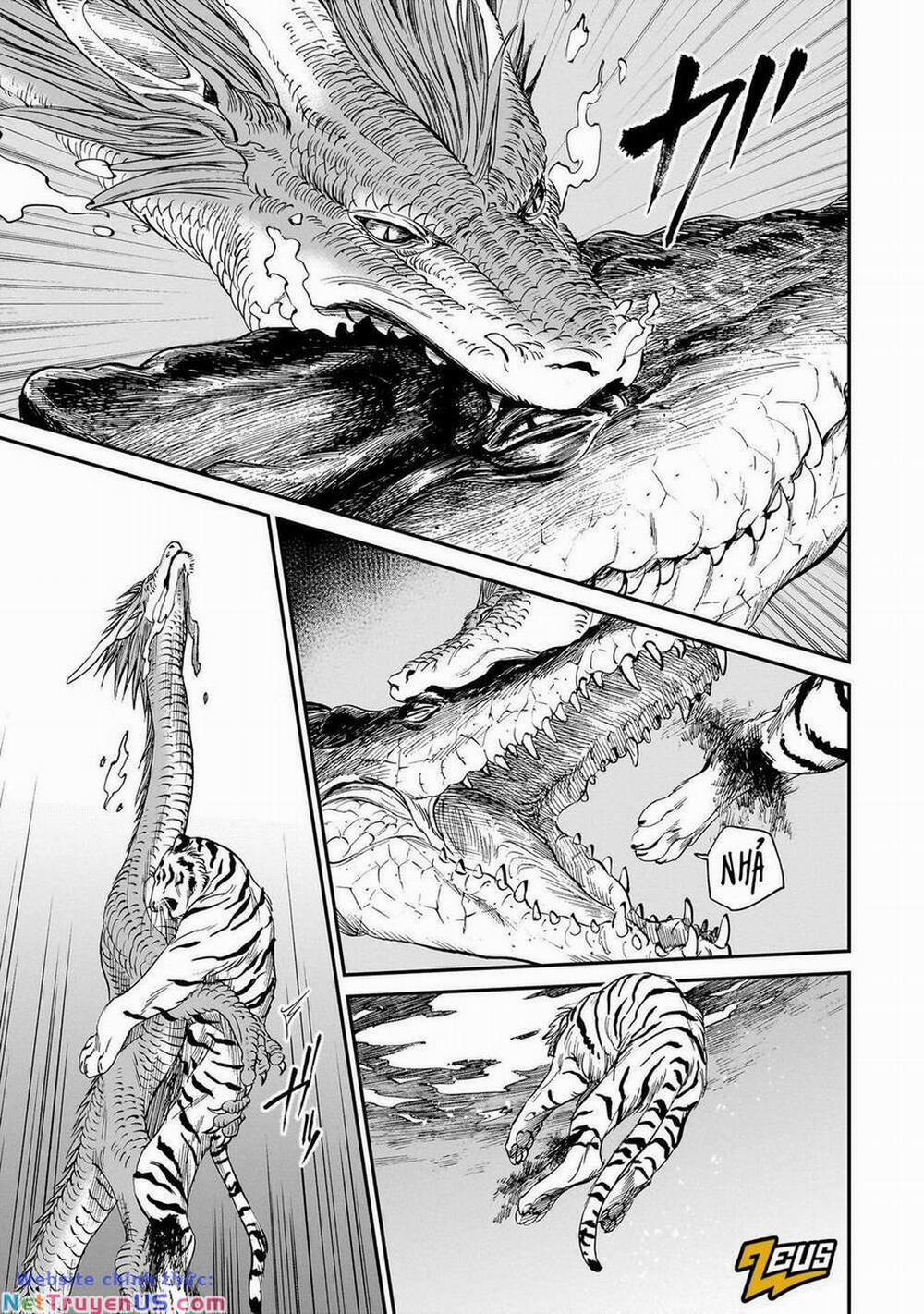 Hổ Vẫn Chưa Muốn Xơi Rồng 20 trang 11