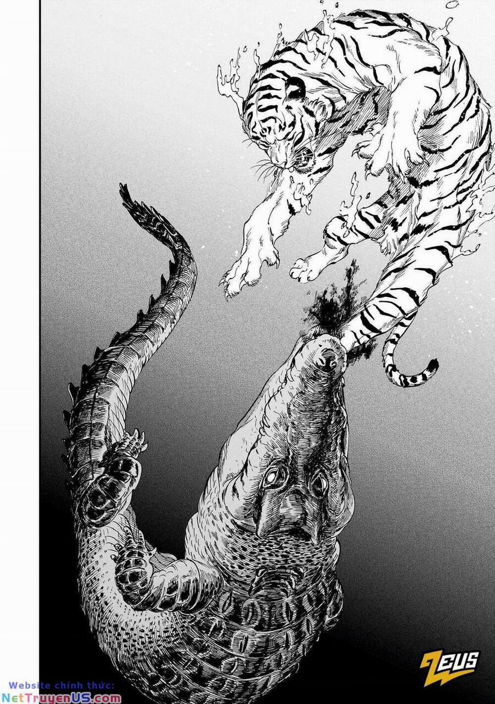 Hổ Vẫn Chưa Muốn Xơi Rồng 20 trang 8