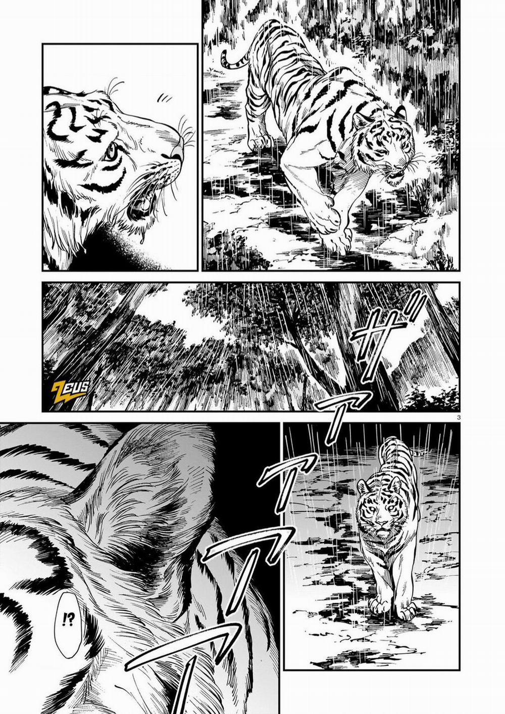 Hổ Vẫn Chưa Muốn Xơi Rồng 27 trang 3