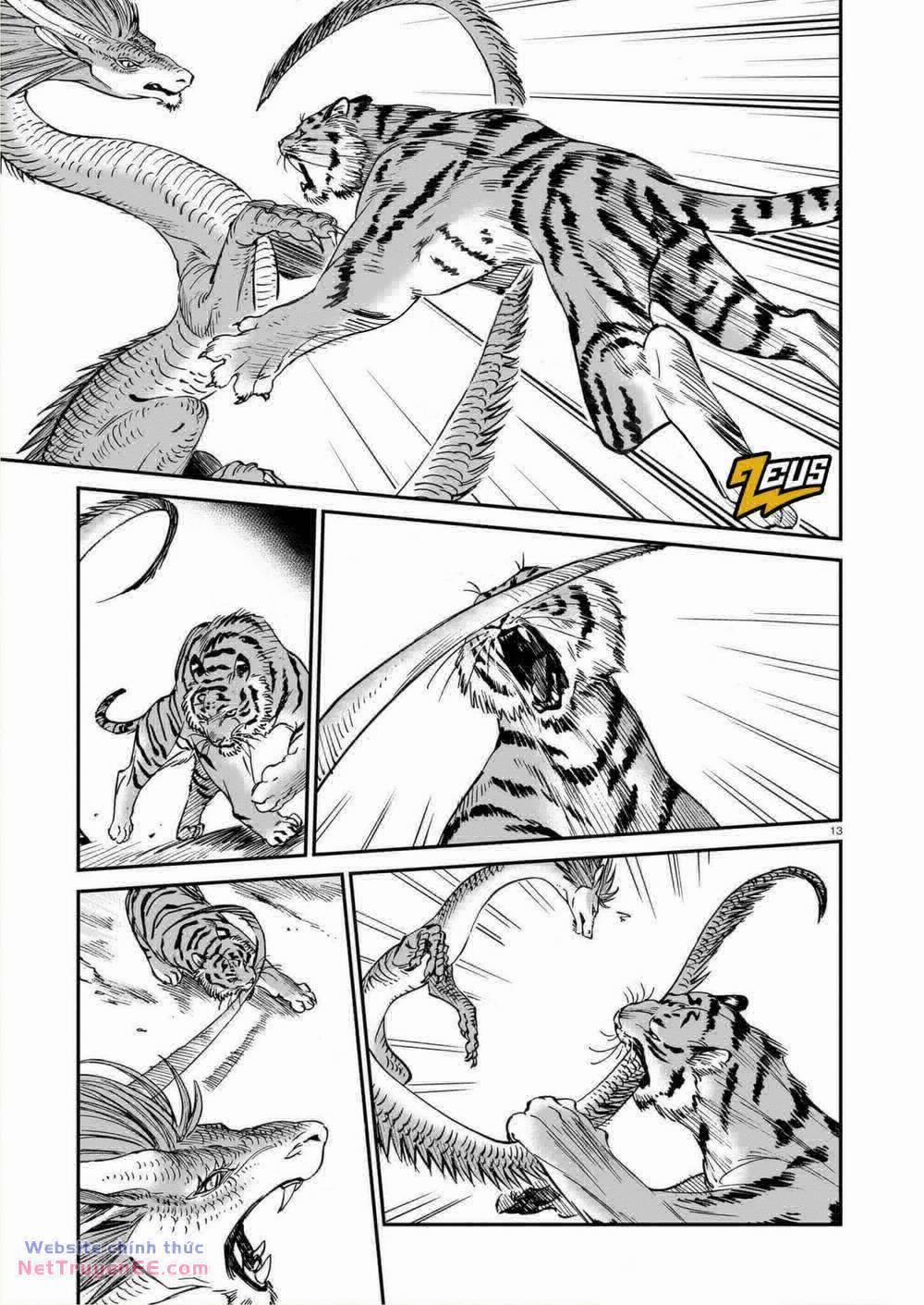 Hổ Vẫn Chưa Muốn Xơi Rồng 29 trang 14