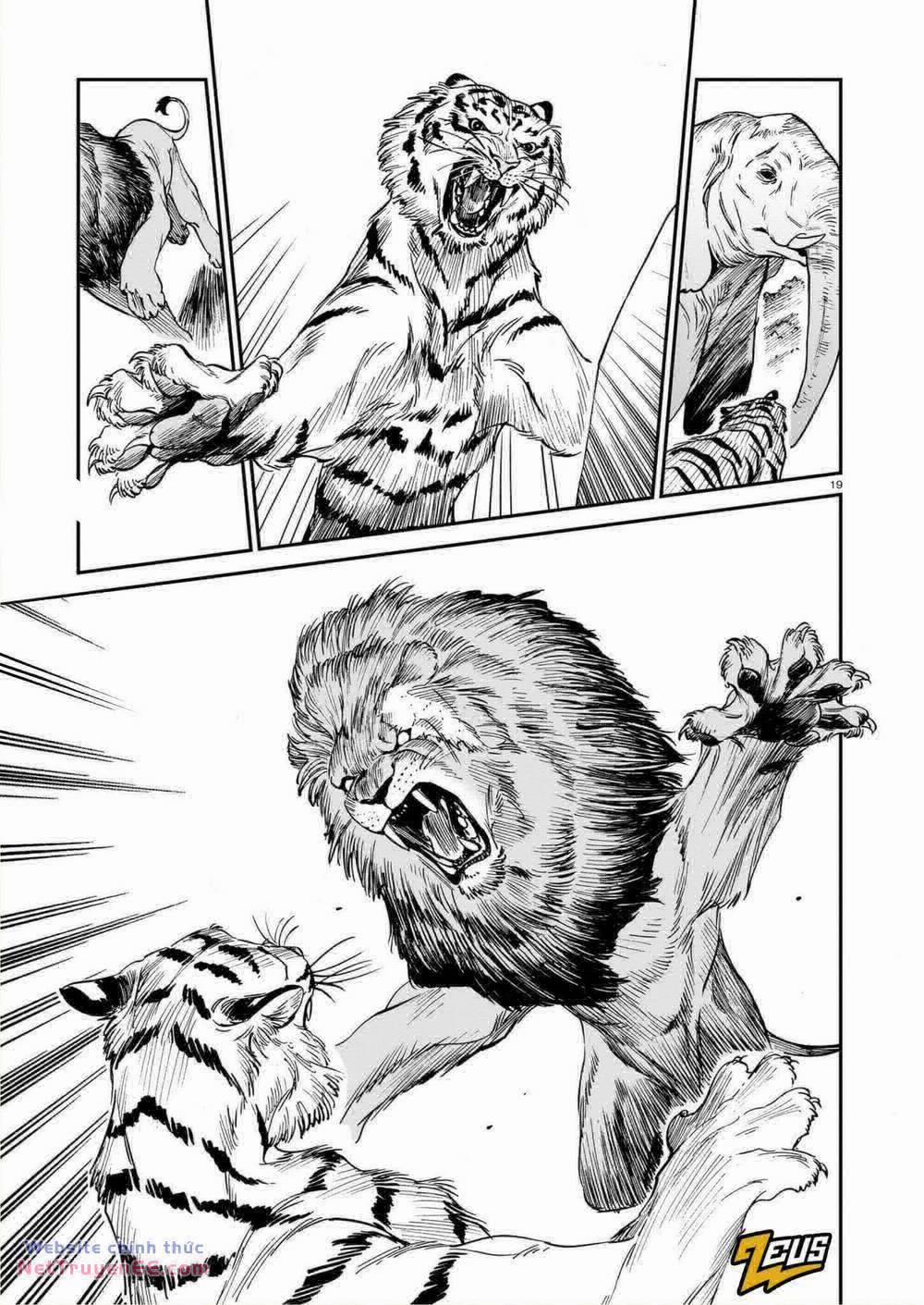 Hổ Vẫn Chưa Muốn Xơi Rồng 29 trang 20