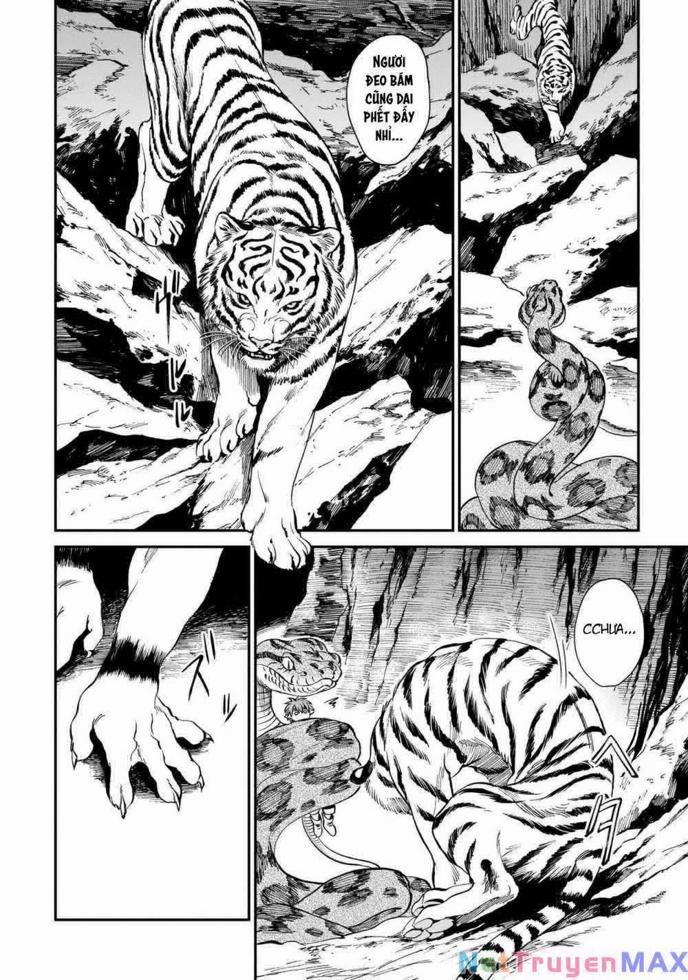 Hổ Vẫn Chưa Muốn Xơi Rồng 6 trang 5