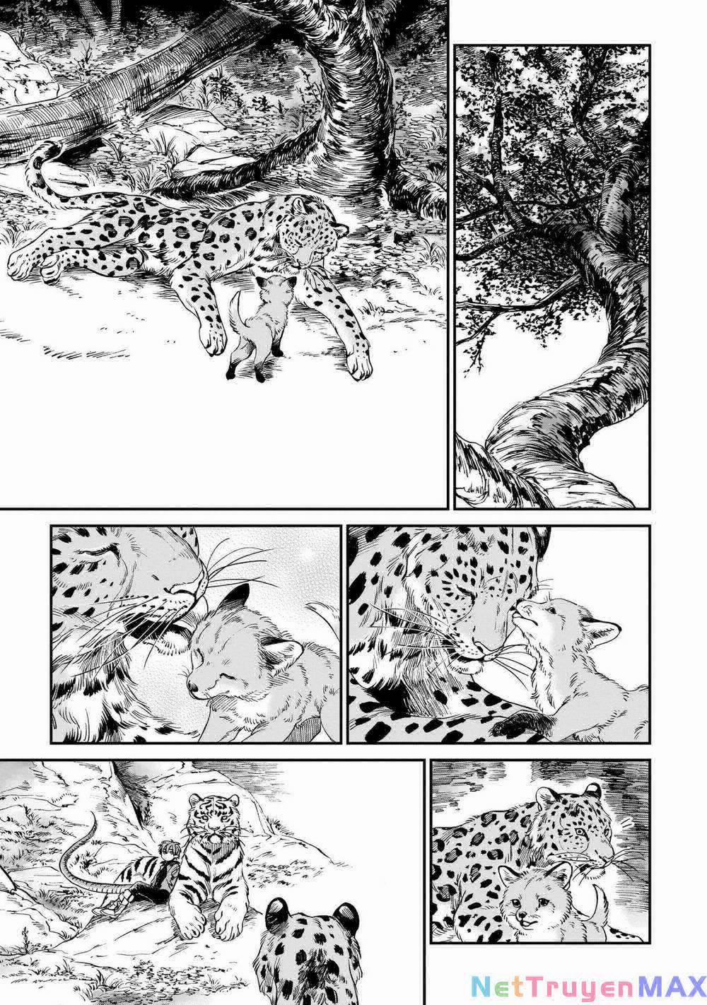 Hổ Vẫn Chưa Muốn Xơi Rồng 9 trang 13