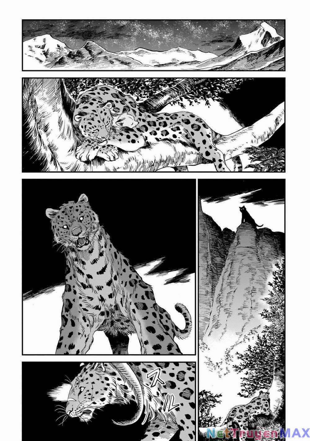 Hổ Vẫn Chưa Muốn Xơi Rồng 9 trang 17